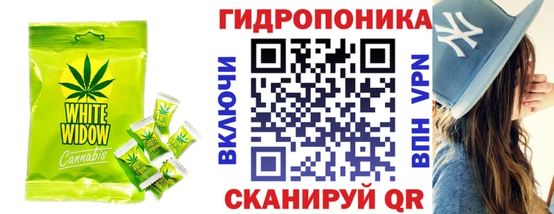 Canna-Cookies марихуана  купить  сайты  Котельнич 