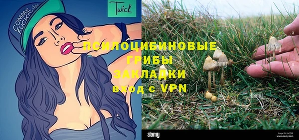 прущая мука Костерёво