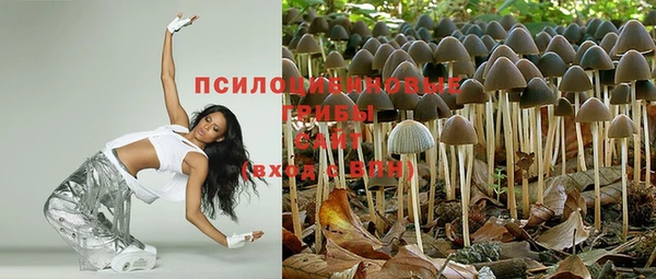 каннабис Коряжма