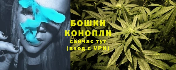 прущая мука Костерёво