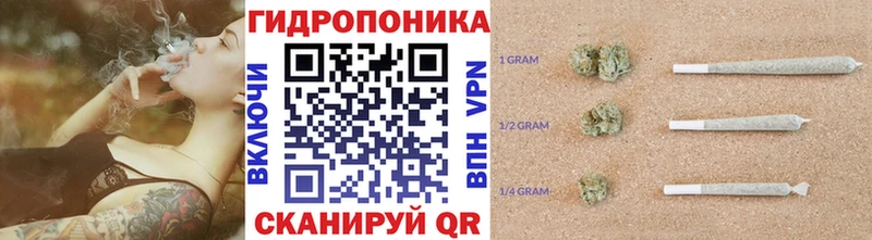 Бошки Шишки семена  что такое   Котельнич 